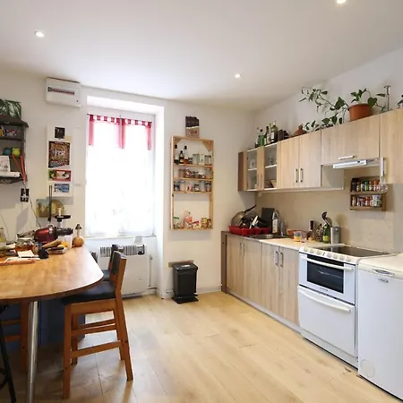 Charmant studio de 46m avec Wifi au cœur de Lyon * Lyon